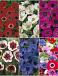 S15 Anemone Single (6x200)