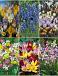 S15 Miscellaneous C (6x200)