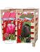 Tulipa mixed