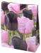 Tulipa mixed