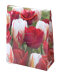 Tulipa mixed