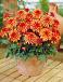 Decoratieve Art Deco
