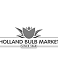 Holland Bulb Market