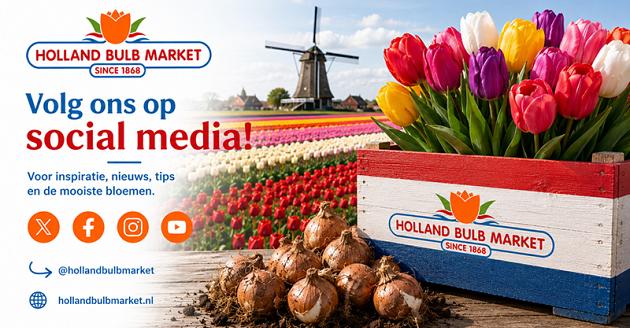 socials volg ons nederlands