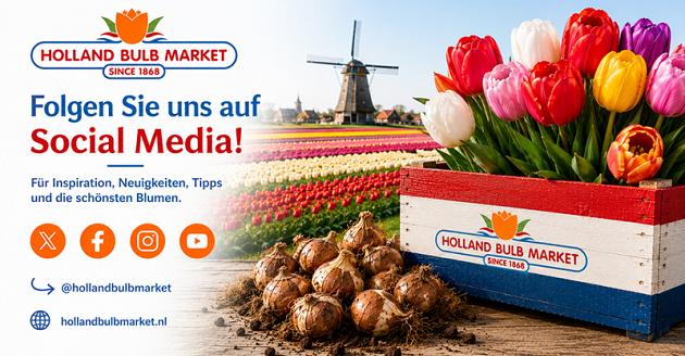 socials volg ons duits