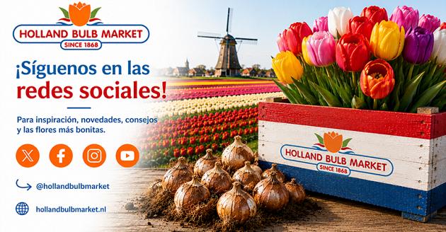 socials volg ons spaans