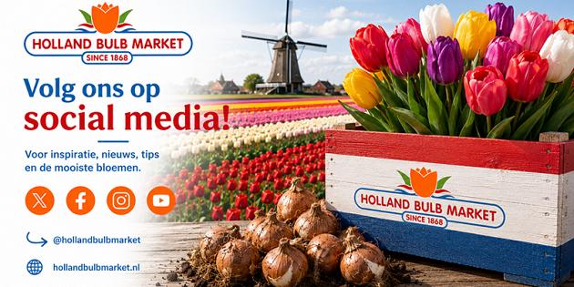 socials volg ons nederlands